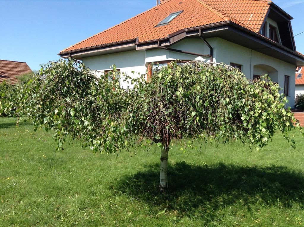 Landhaus Mit Garten Szczecin Exterior photo